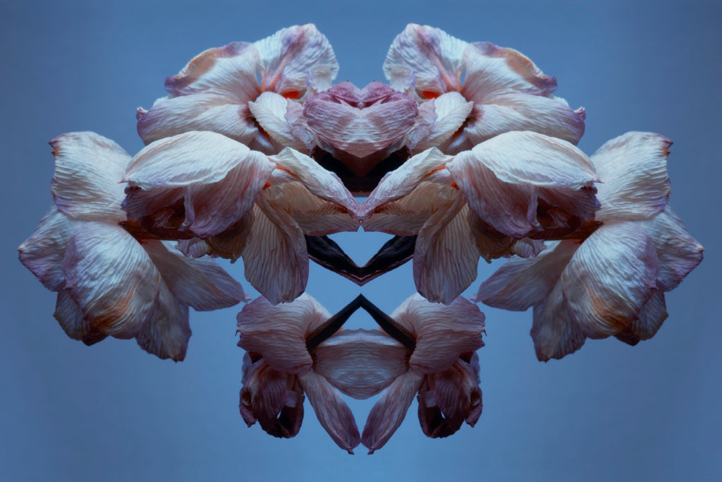 "NATURA SACRA: When The Earth Was God”