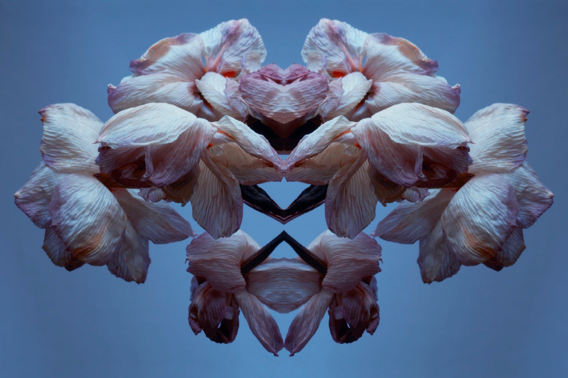 "NATURA SACRA: When The Earth Was God”