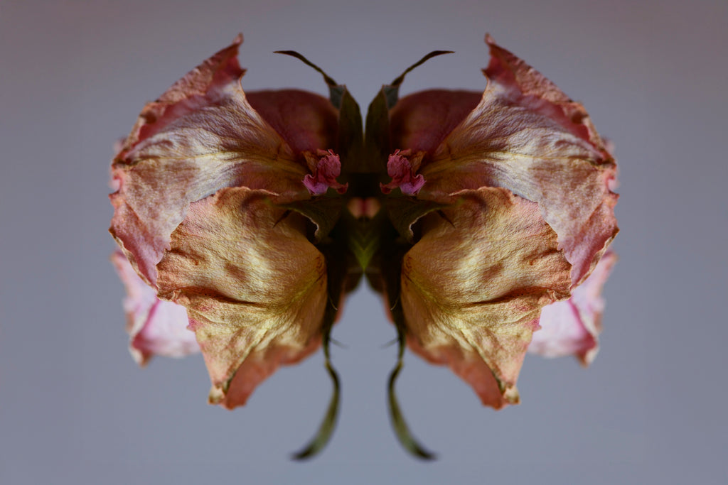 "NATURA SACRA: When The Earth Was God”