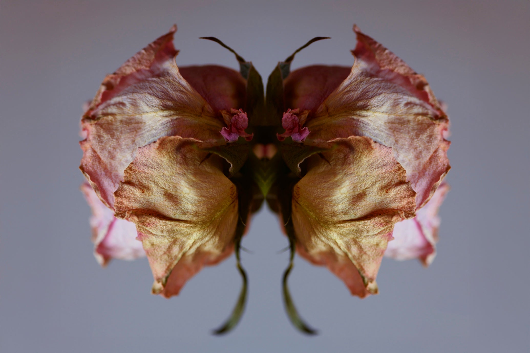 "NATURA SACRA: When The Earth Was God”