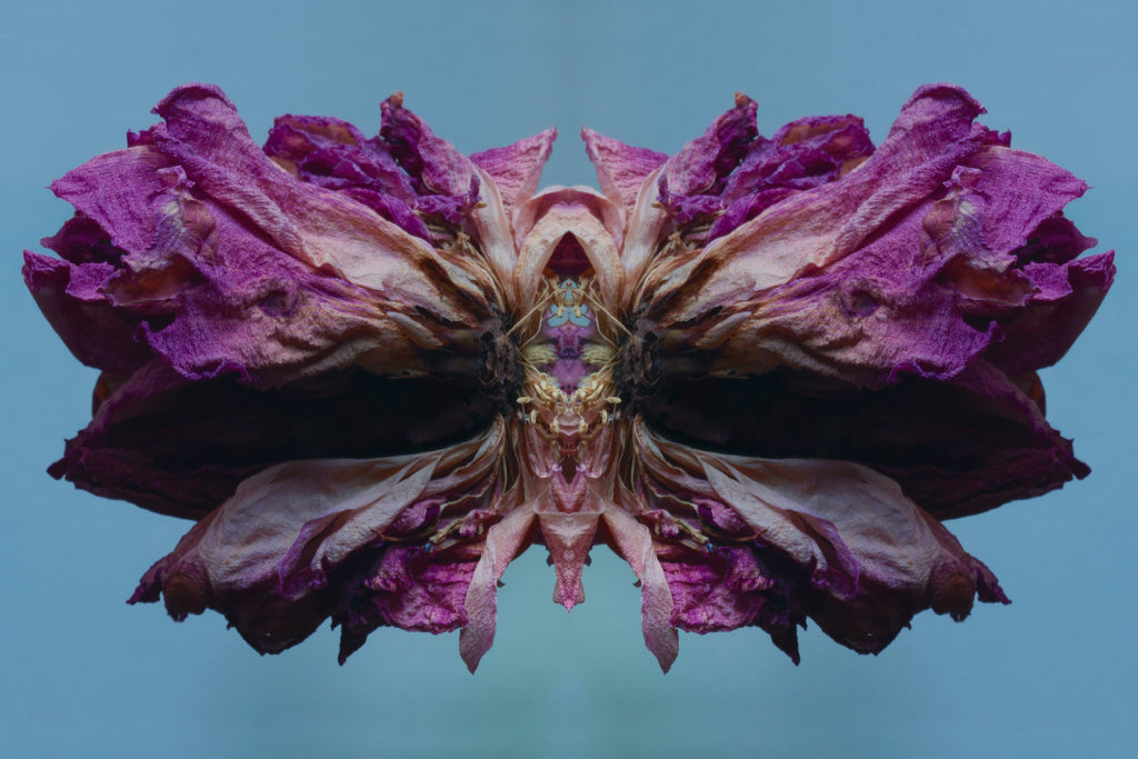 "NATURA SACRA: When The Earth Was God”