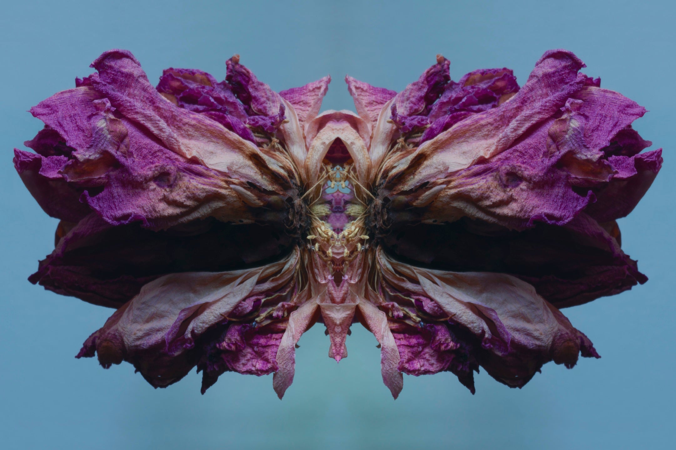 "NATURA SACRA: When The Earth Was God”