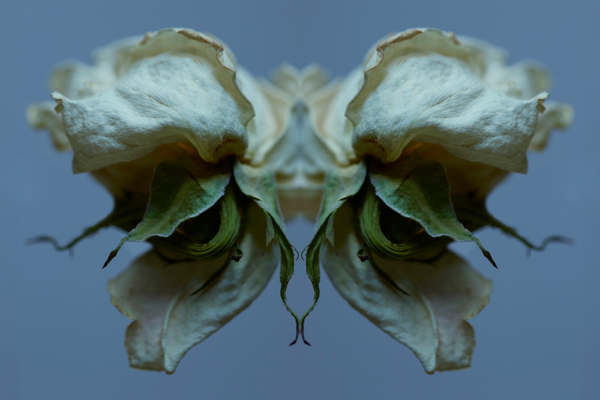 "NATURA SACRA: When The Earth Was God”