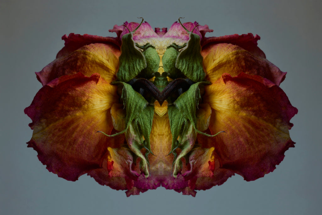 "NATURA SACRA: When The Earth Was God”