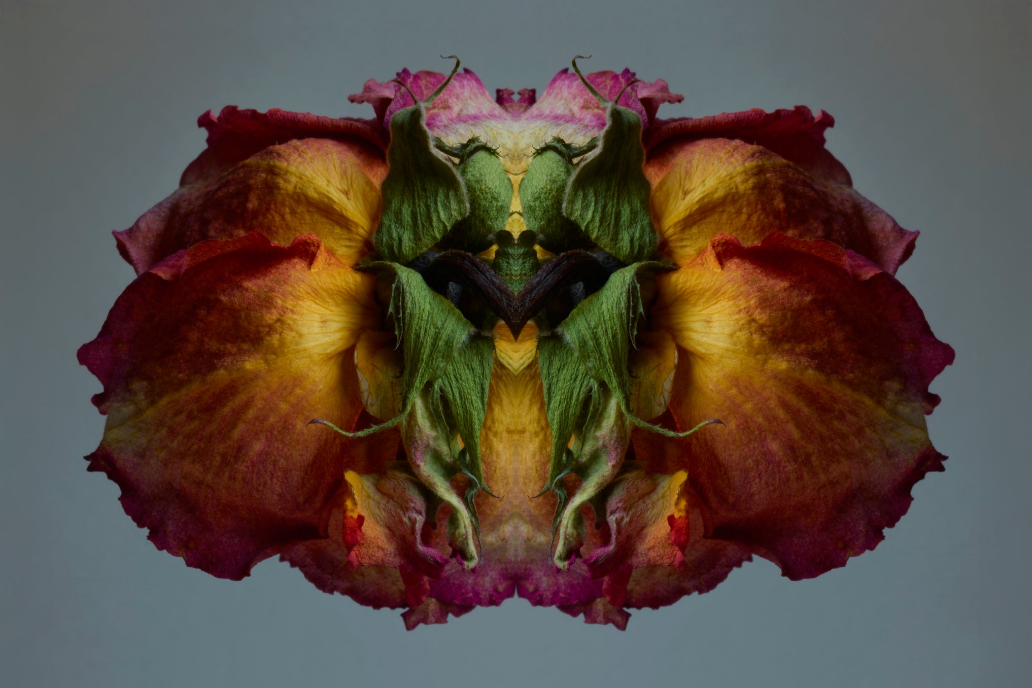 "NATURA SACRA: When The Earth Was God”