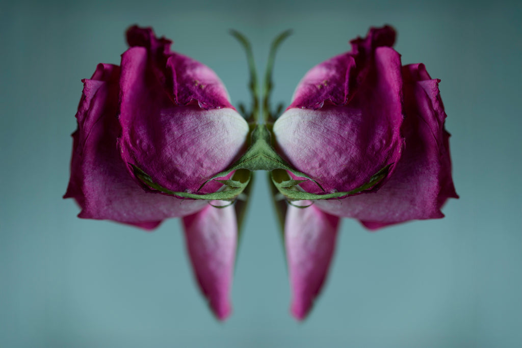 "NATURA SACRA: When The Earth Was God”