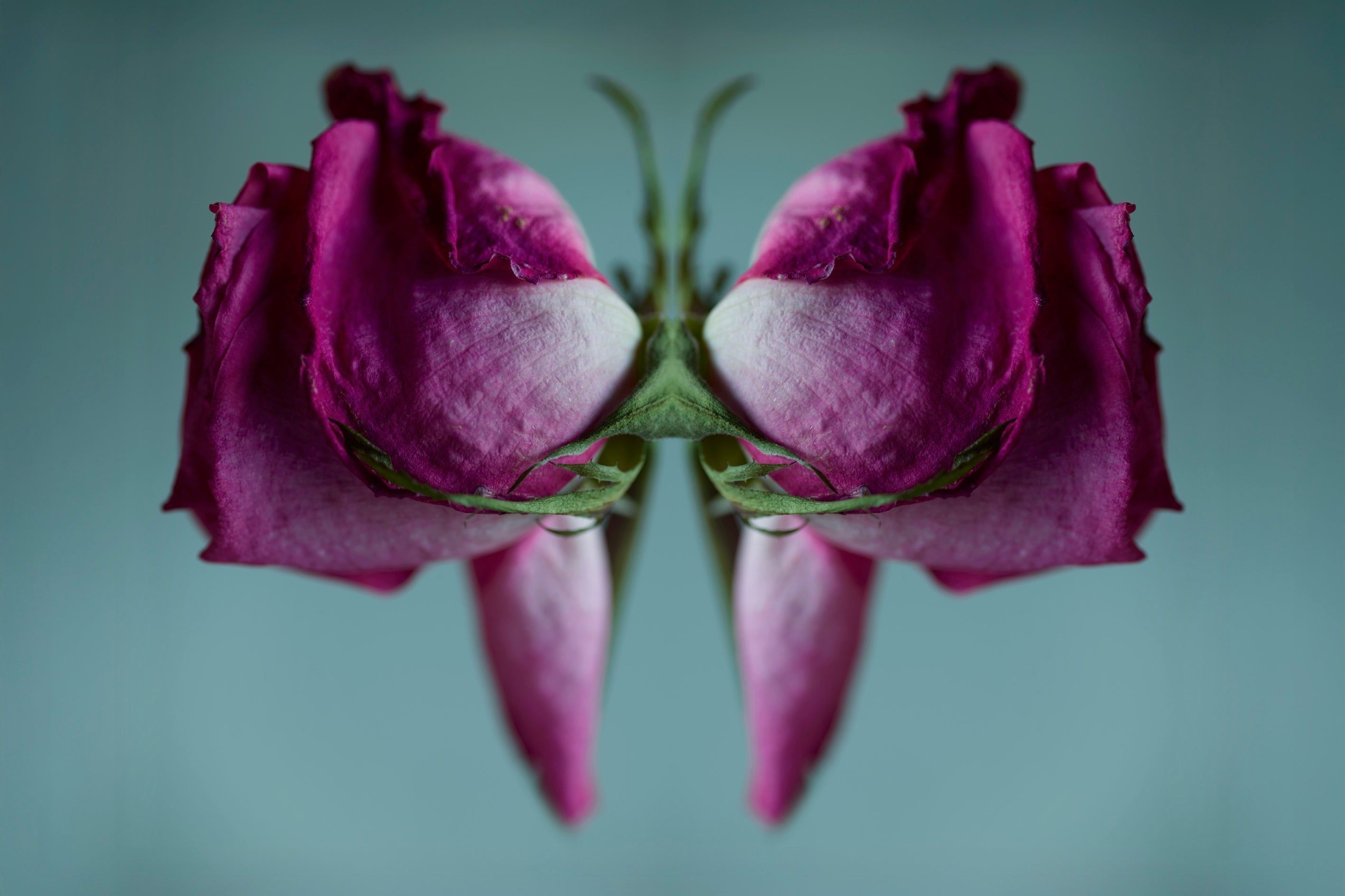 "NATURA SACRA: When The Earth Was God”