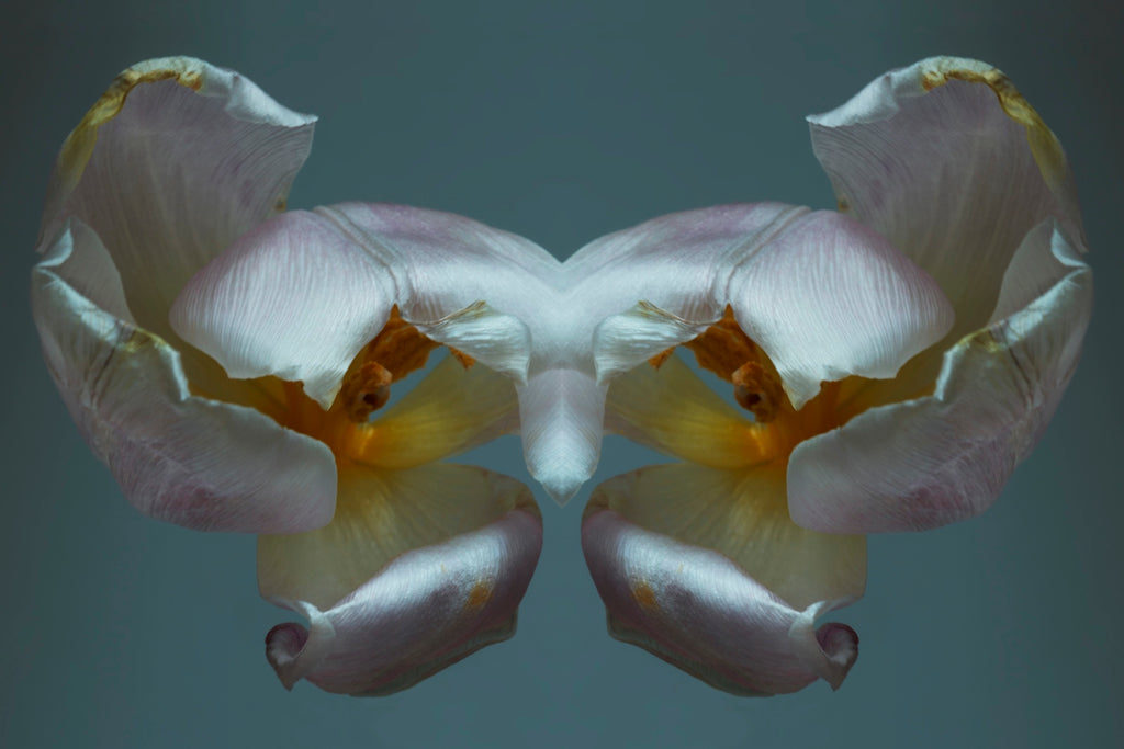 "NATURA SACRA: When The Earth Was God”