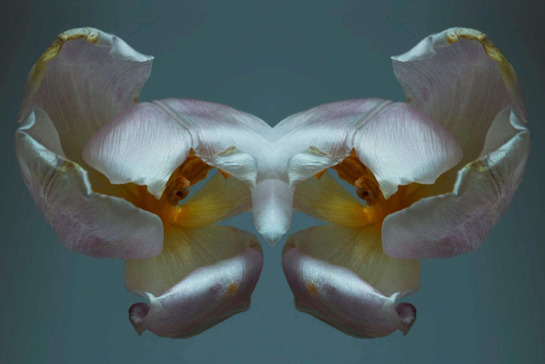 "NATURA SACRA: When The Earth Was God”