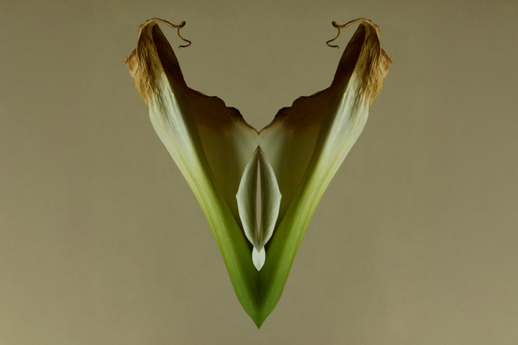 "NATURA SACRA: When The Earth Was God”