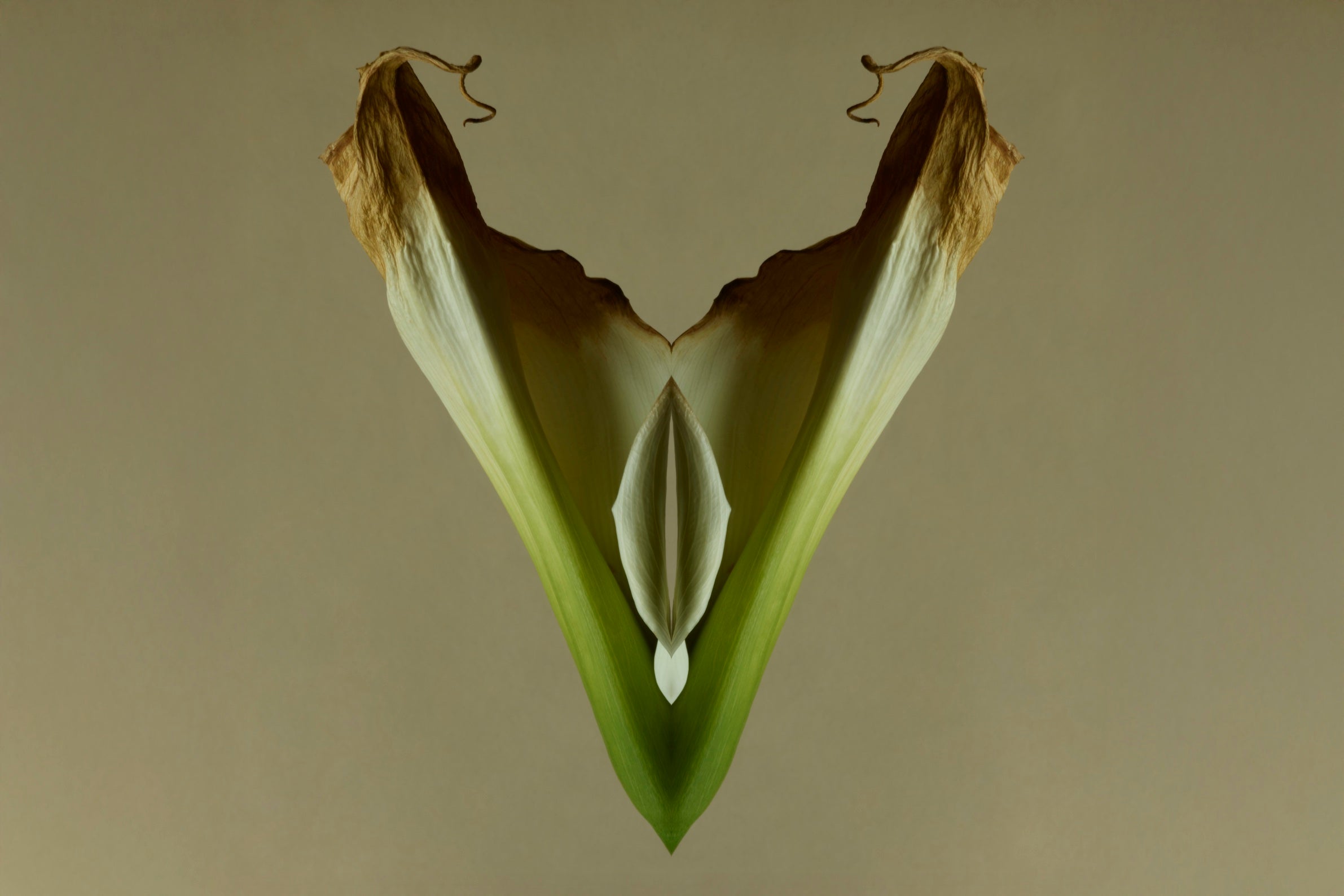 "NATURA SACRA: When The Earth Was God”