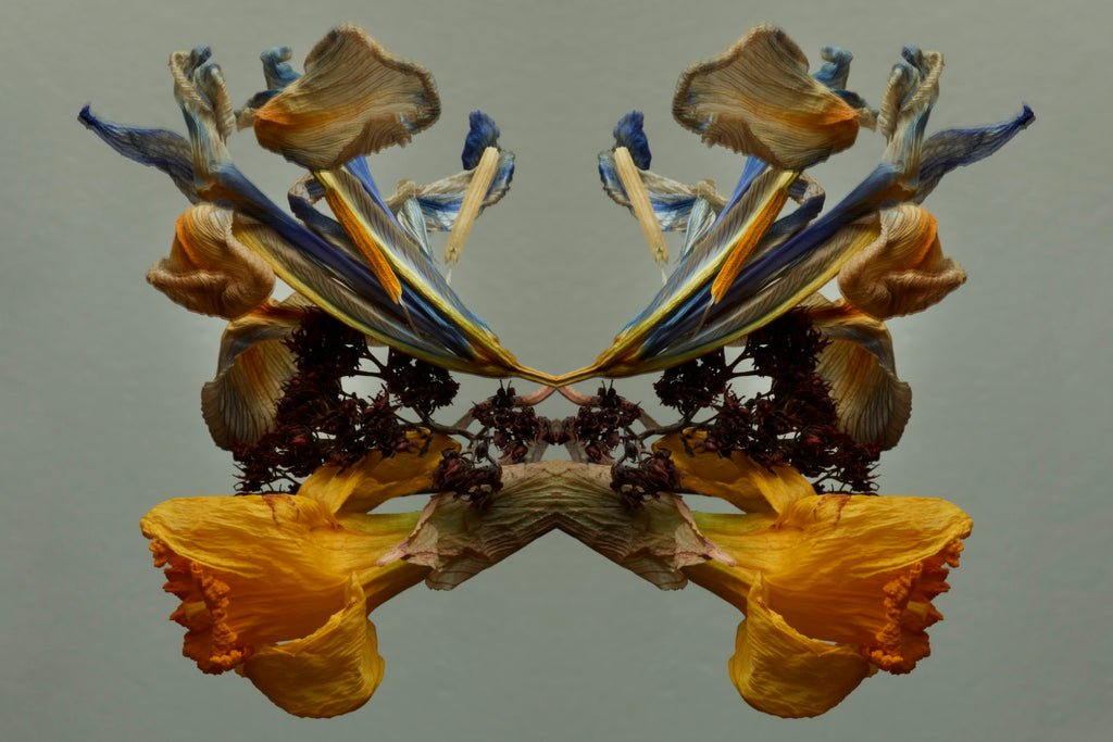 "NATURA SACRA: When The Earth Was God”