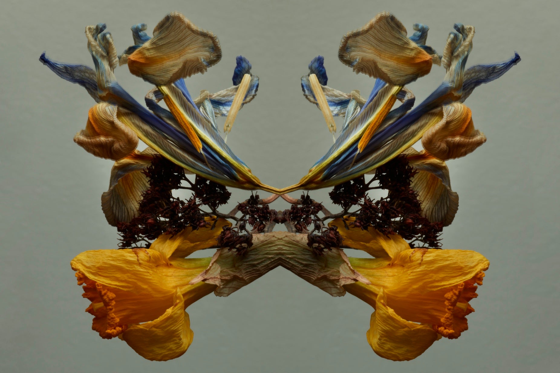 "NATURA SACRA: When The Earth Was God”