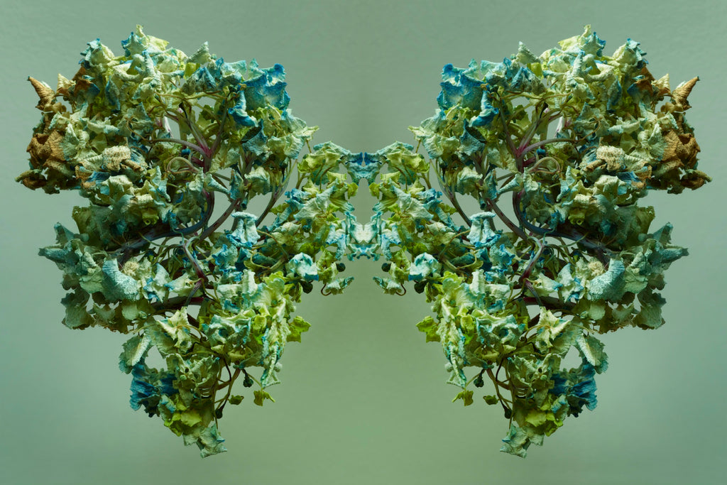 "NATURA SACRA: When The Earth Was God”