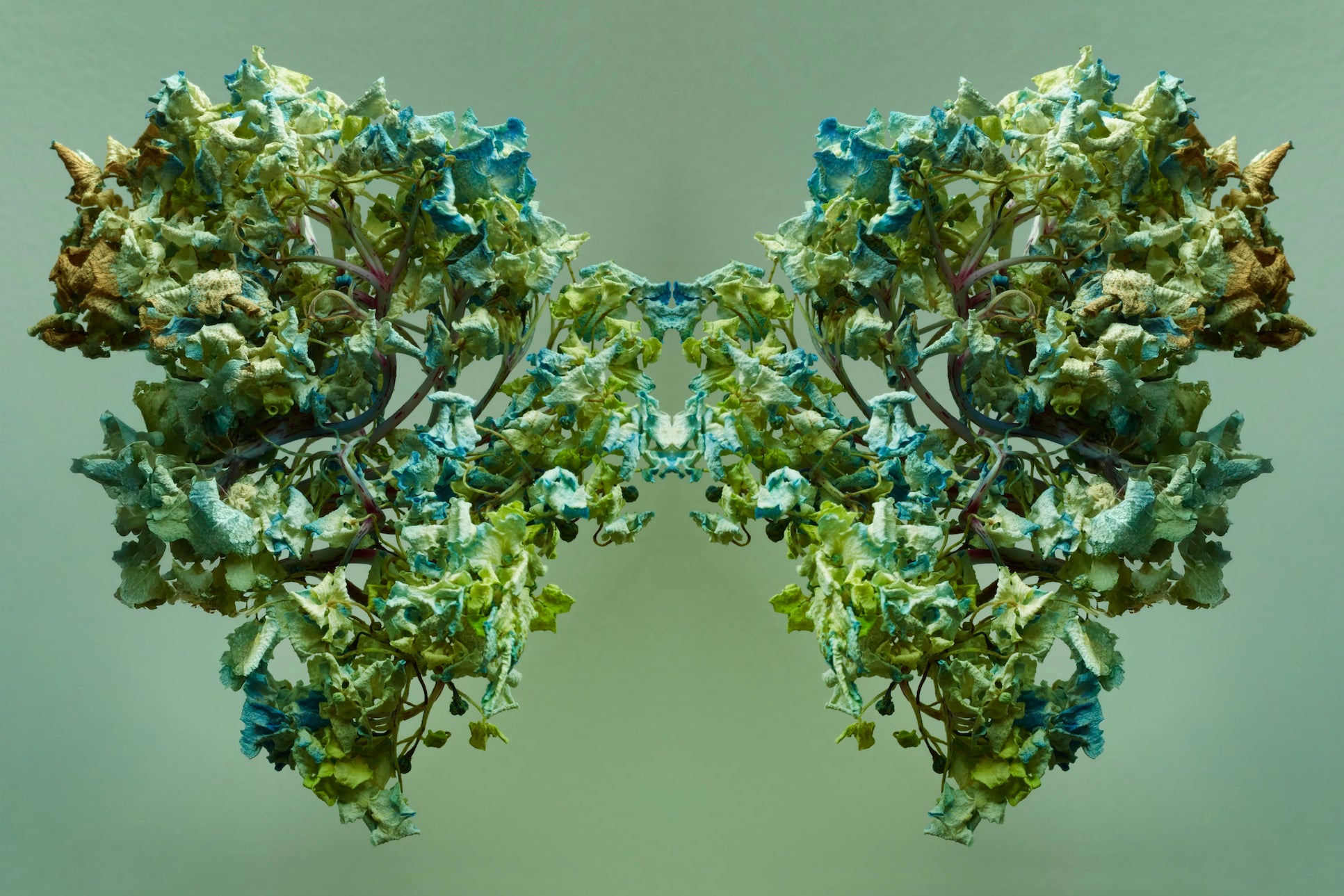 "NATURA SACRA: When The Earth Was God”