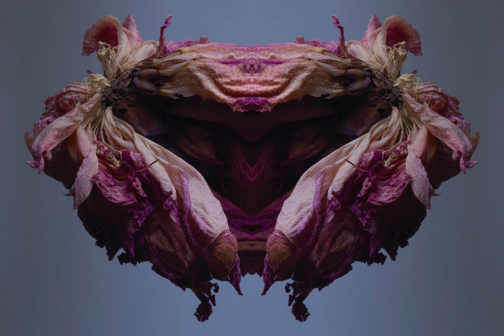 "NATURA SACRA: When The Earth Was God”