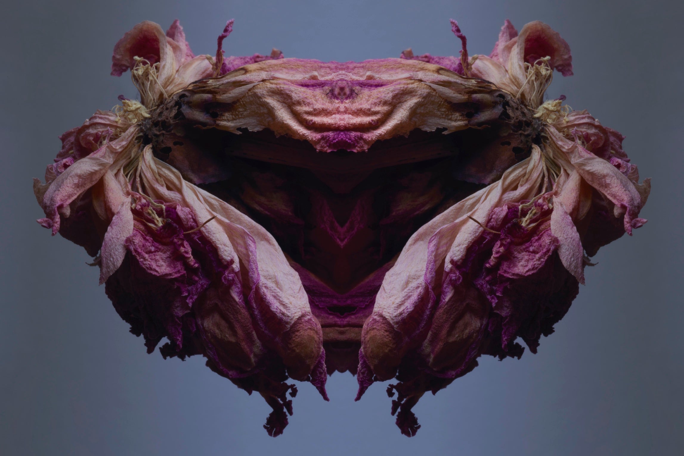 "NATURA SACRA: When The Earth Was God”