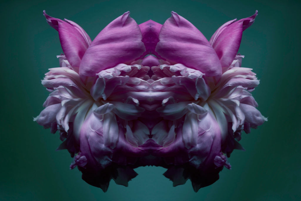 "NATURA SACRA: When The Earth Was God”