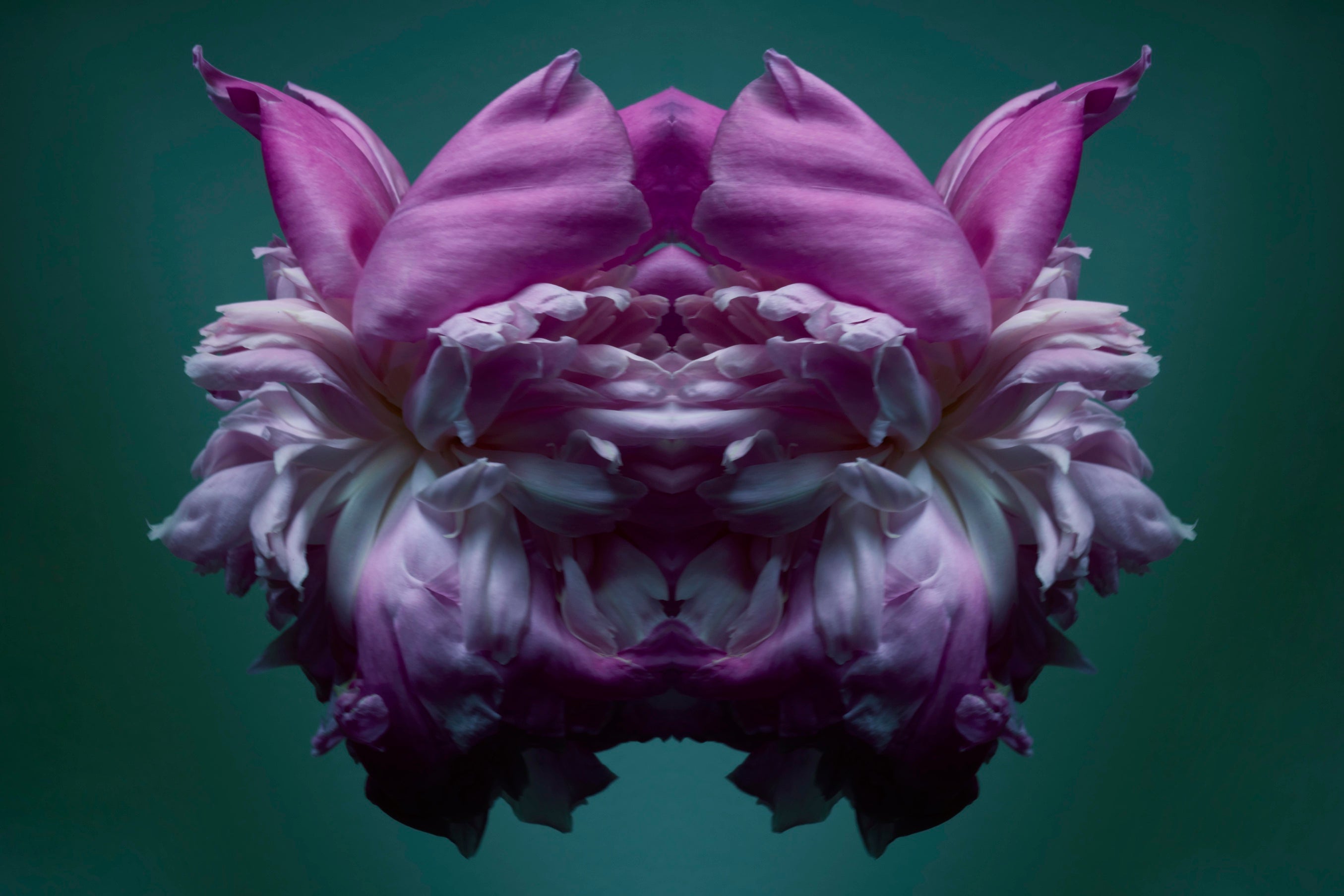 "NATURA SACRA: When The Earth Was God”