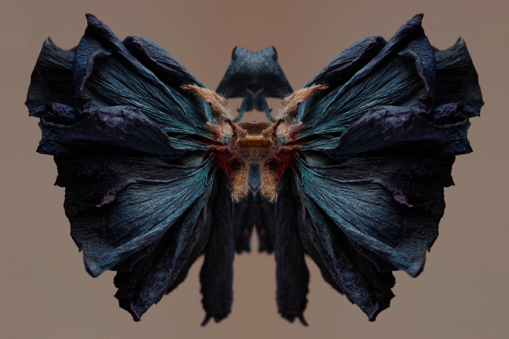 "NATURA SACRA: When The Earth Was God”