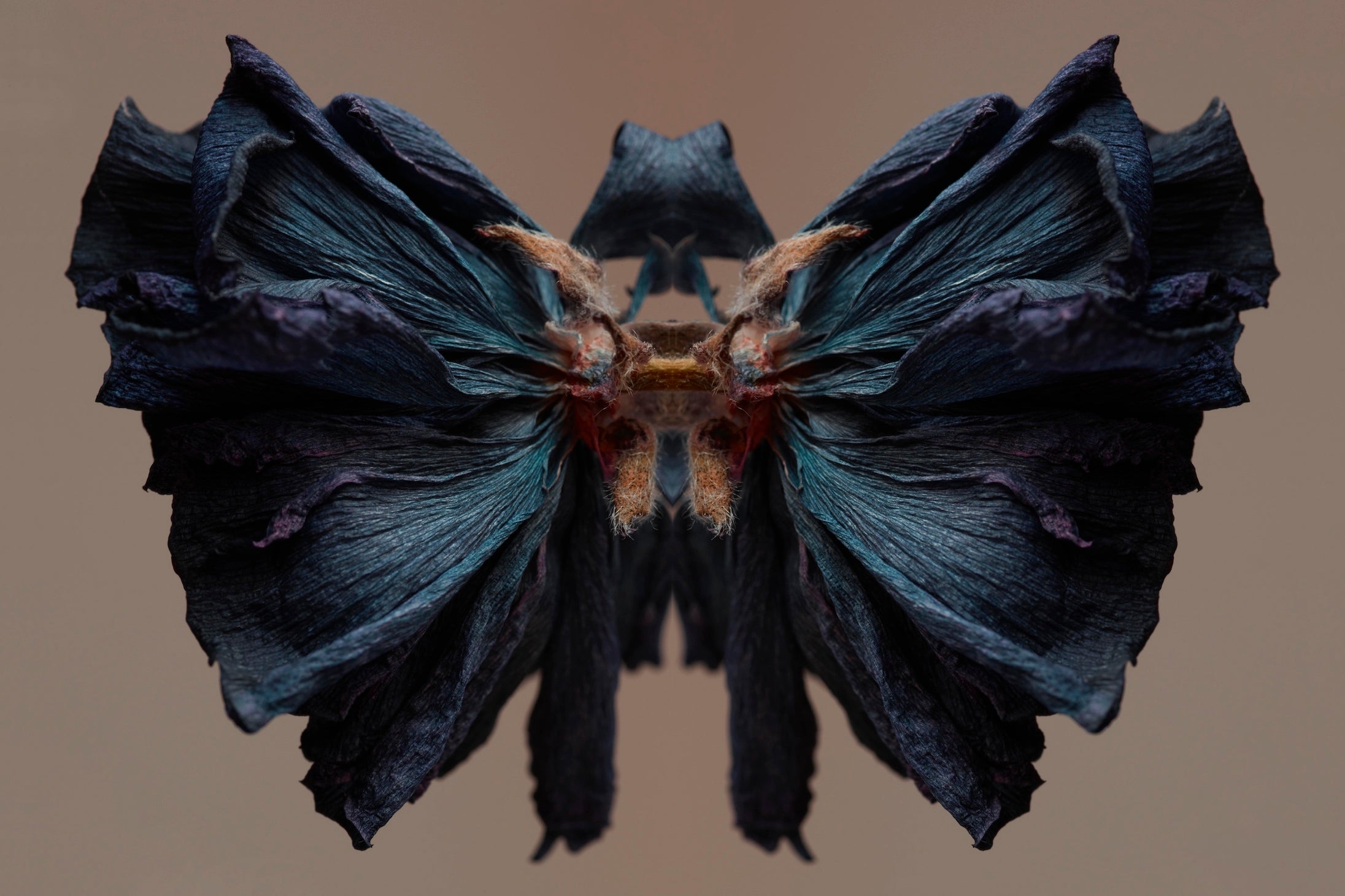 "NATURA SACRA: When The Earth Was God”