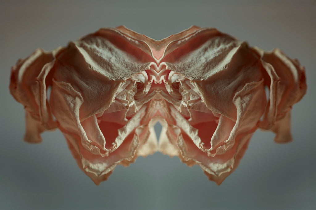 "NATURA SACRA: When The Earth Was God”