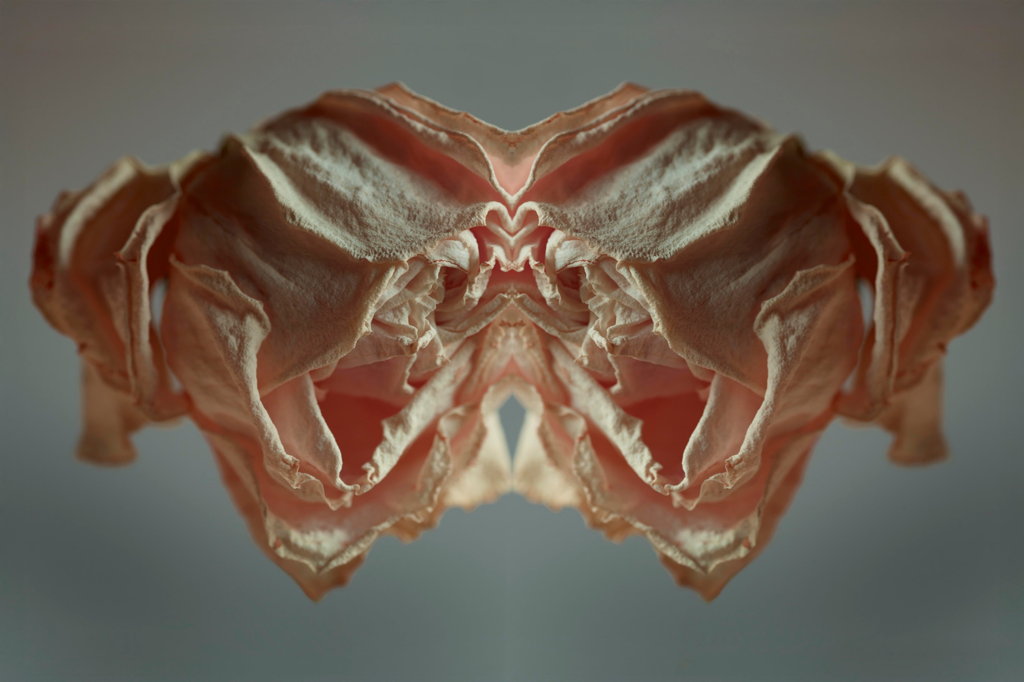 "NATURA SACRA: When The Earth Was God”